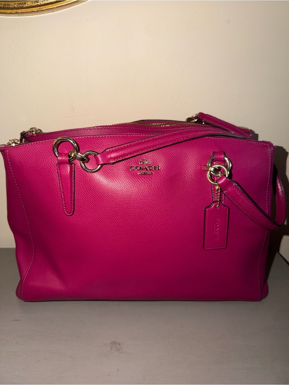 Coach Christie Carryall